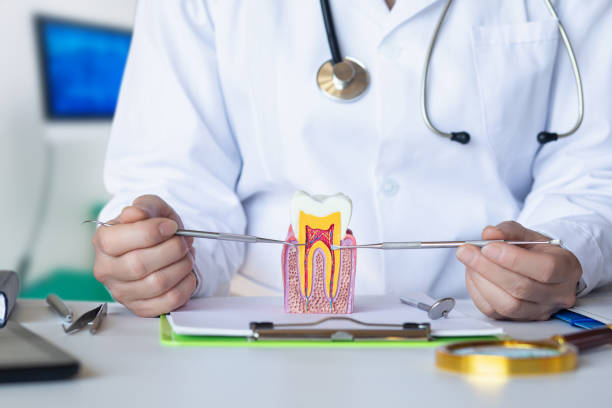 Best Pediatric Emergency Dentist in Mitchell, IN